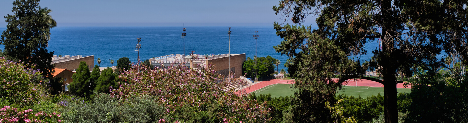 American University of Beirut
